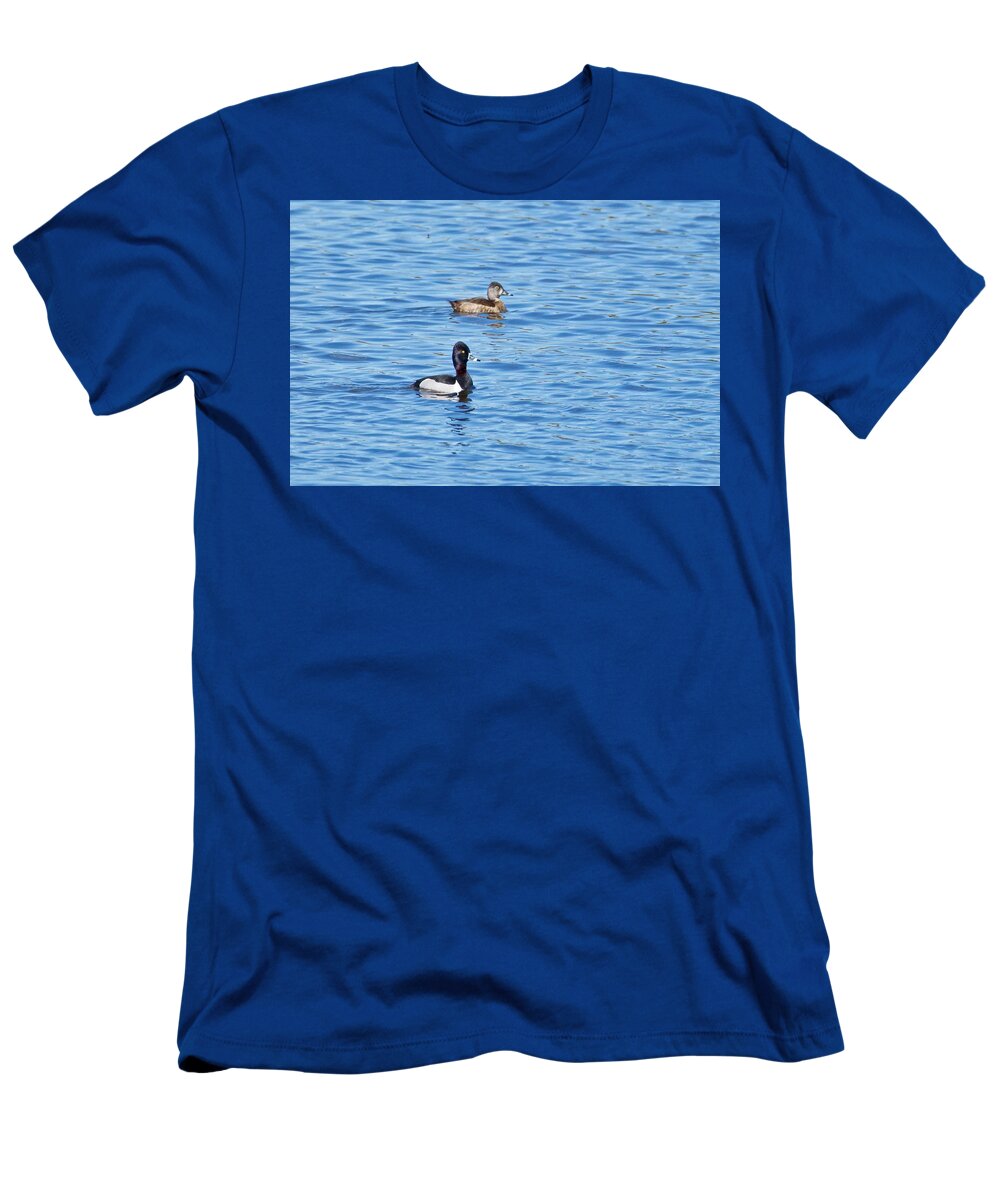 Duck T-Shirt featuring the photograph Ring-neck Ducks by Michael Peychich