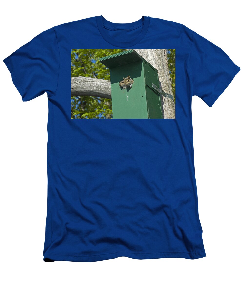 Squirrel T-Shirt featuring the photograph Roommates by Asbed Iskedjian