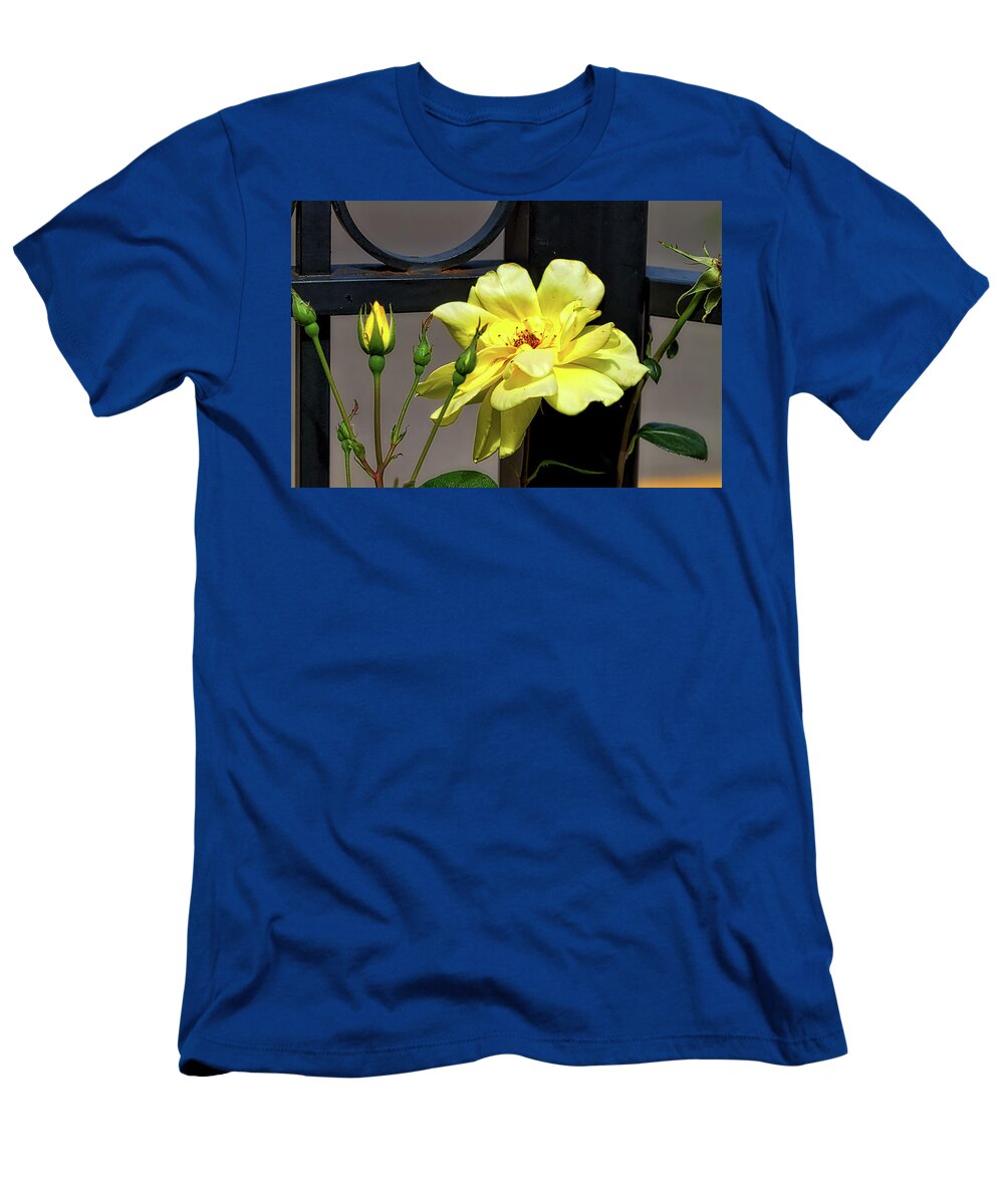 Yellow T-Shirt featuring the photograph Rose on Wrought Iron by Richard Gregurich