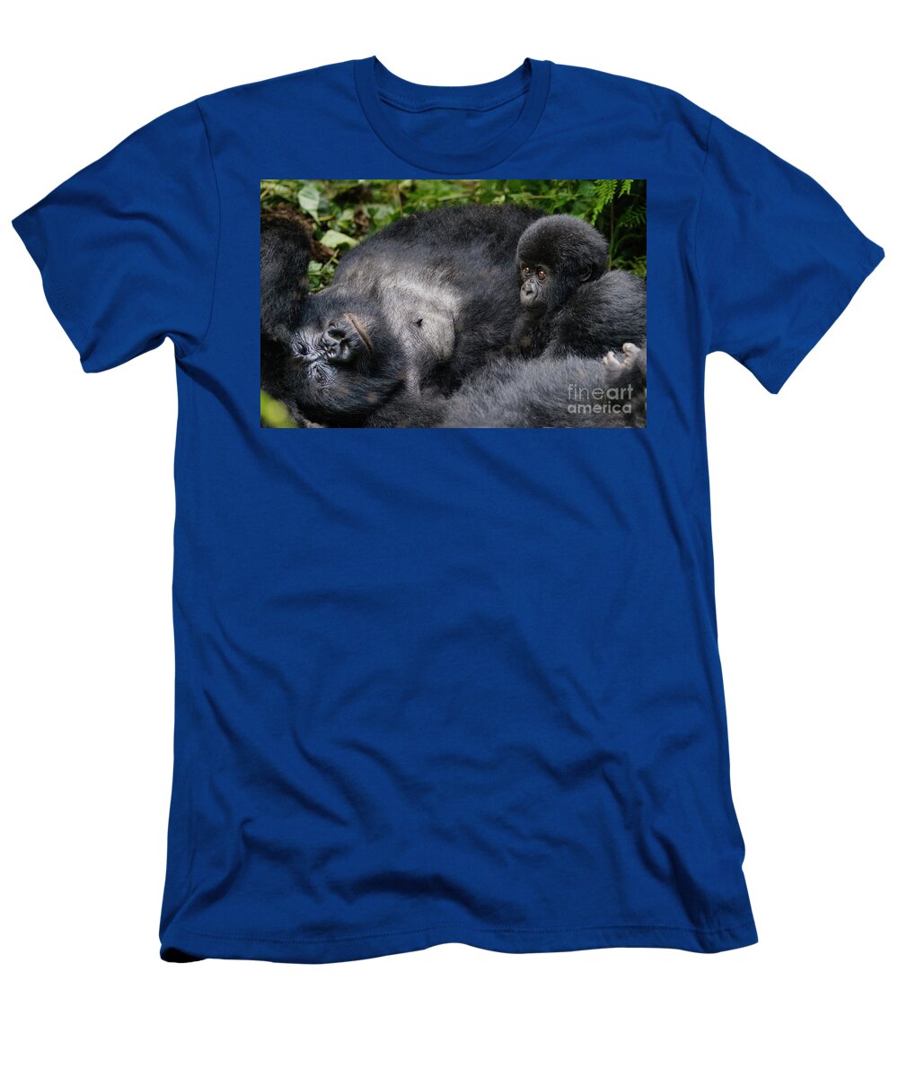 Gorilla Beringei T-Shirt featuring the photograph Rwanda_d150 by Craig Lovell