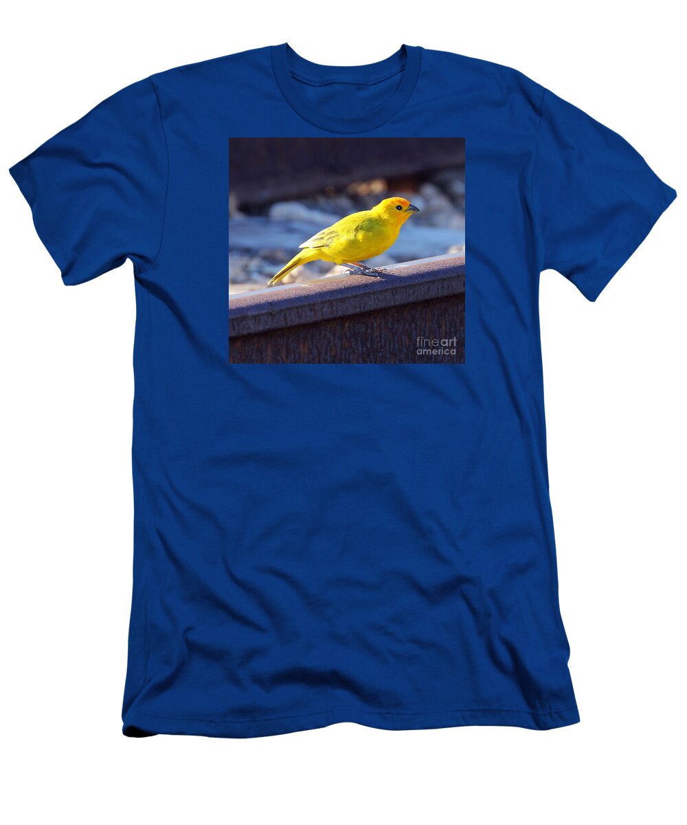 Saffron Finch T-Shirt featuring the photograph Saffron Finch by Jennifer Robin