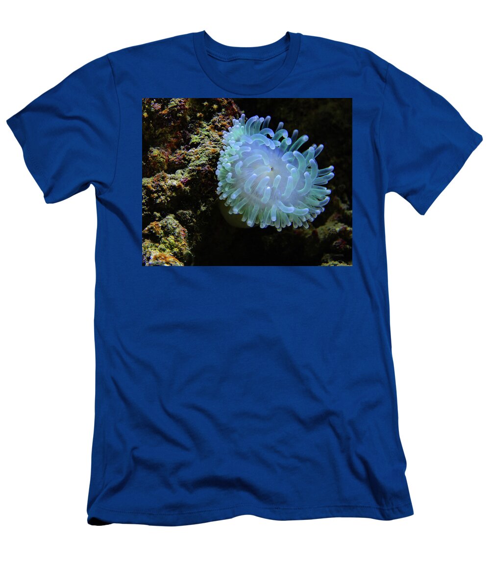 Anemone T-Shirt featuring the photograph Sea Anemone by Ryan Workman Photography