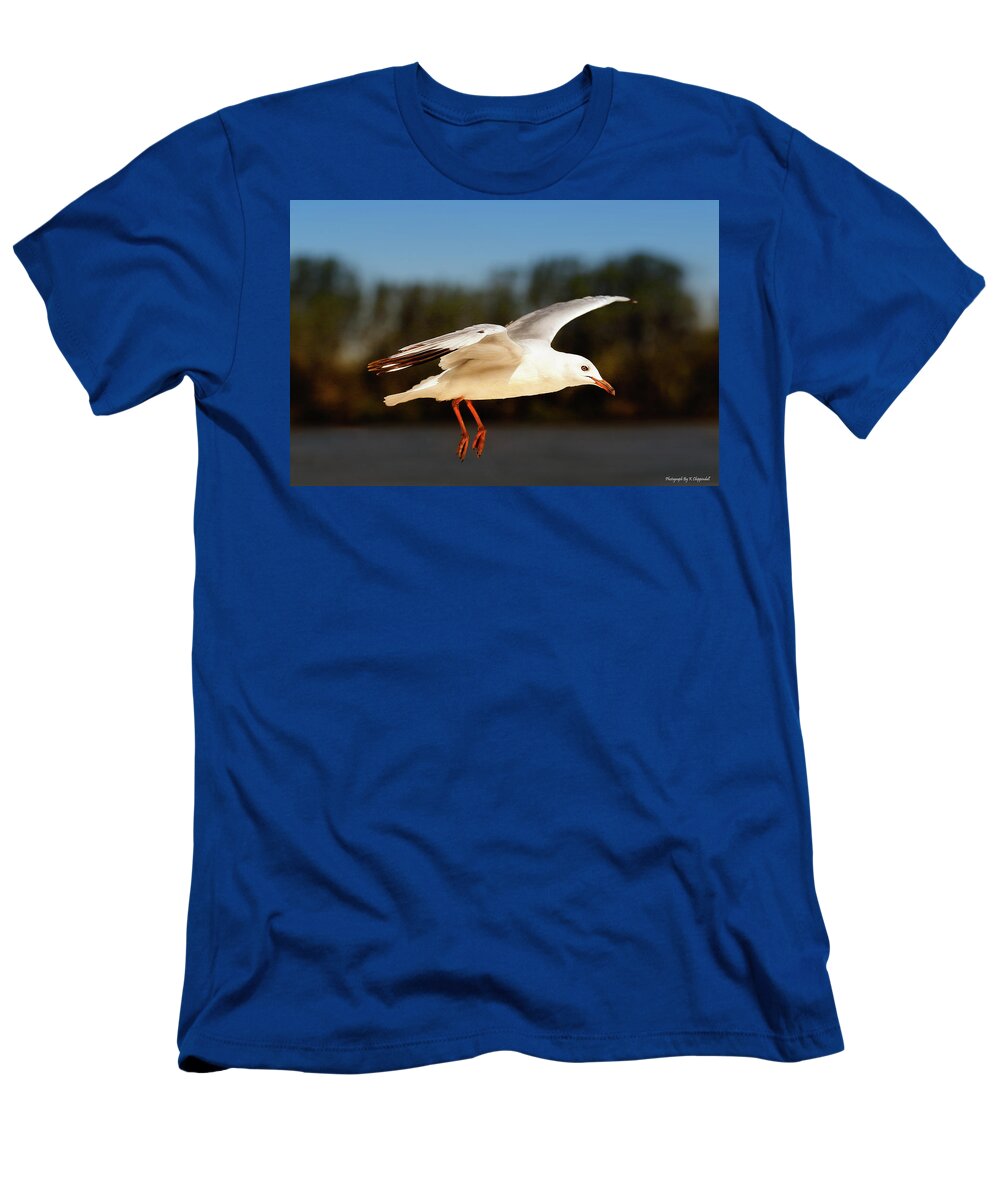 Seagull Photography T-Shirt featuring the photograph Seagull in flight 6262 by Kevin Chippindall