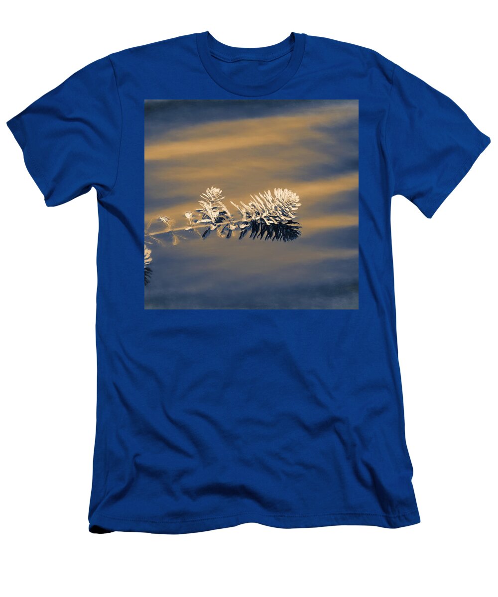 Water T-Shirt featuring the photograph Set Apart by Carolyn Marshall