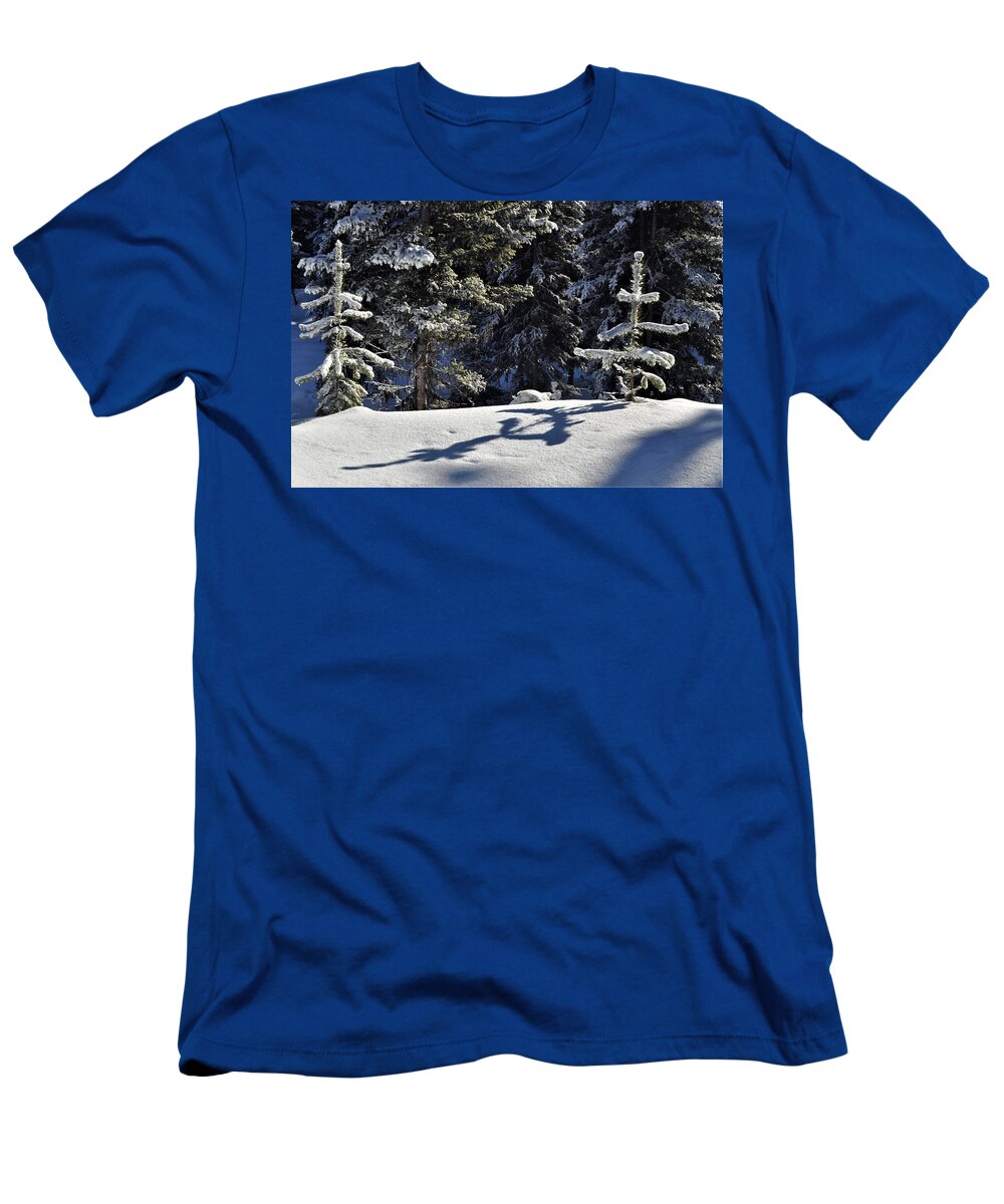 Snow T-Shirt featuring the photograph Shadows in the Snow by Mike Helland