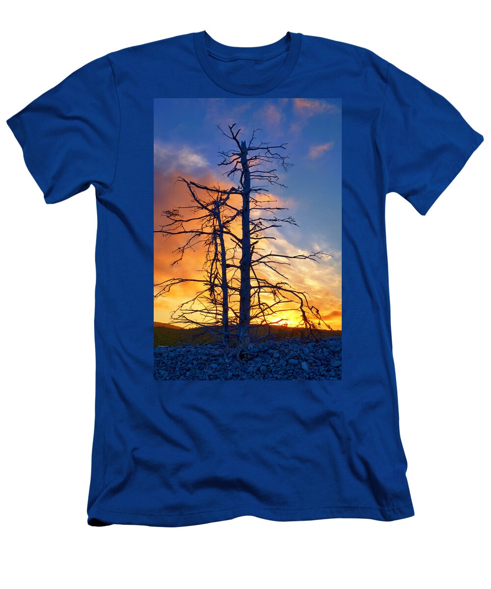 Shoreline T-Shirt featuring the photograph Shoreline Silhouettes by Irwin Barrett