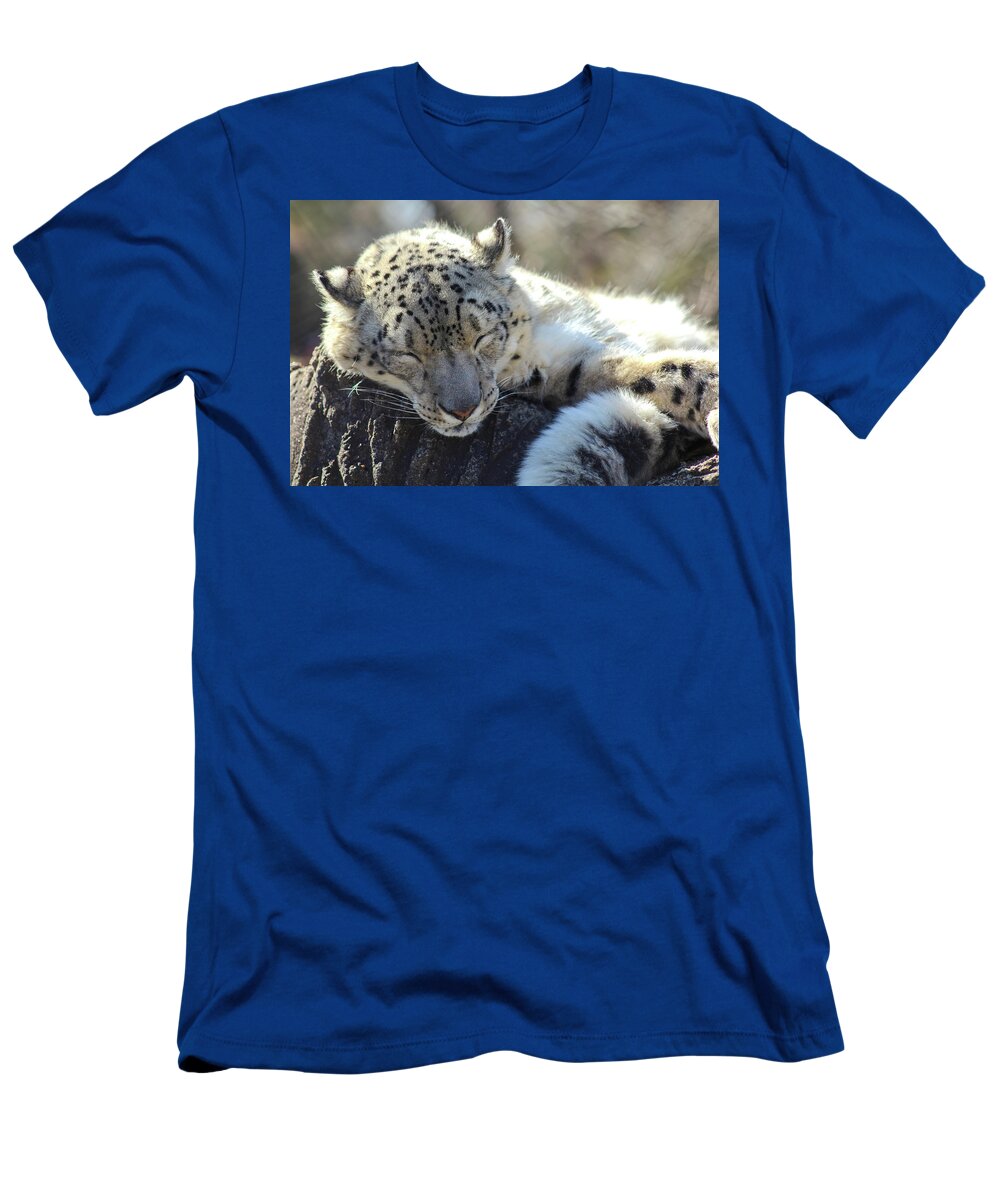 Snow Leopard T-Shirt featuring the photograph Sleeping Snow Leopard by Holly Ross