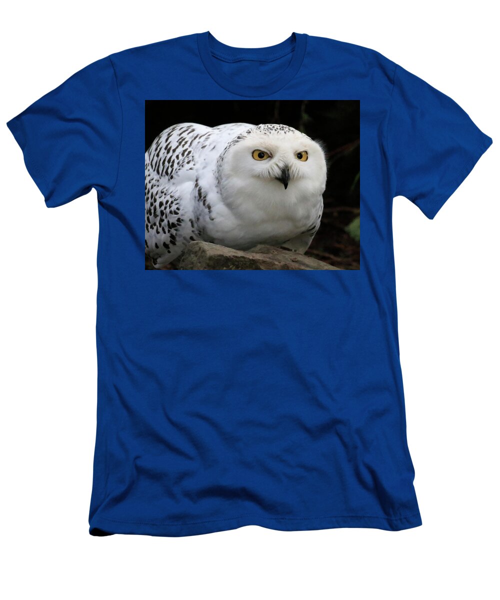 Snowy Owl T-Shirt featuring the photograph Snow Owl Rock Lean by Steve McKinzie