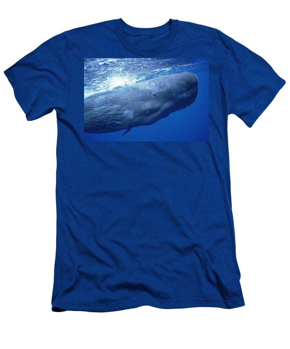 00113458 T-Shirt featuring the photograph Sperm Whale Underwater Portrait by Flip Nicklin