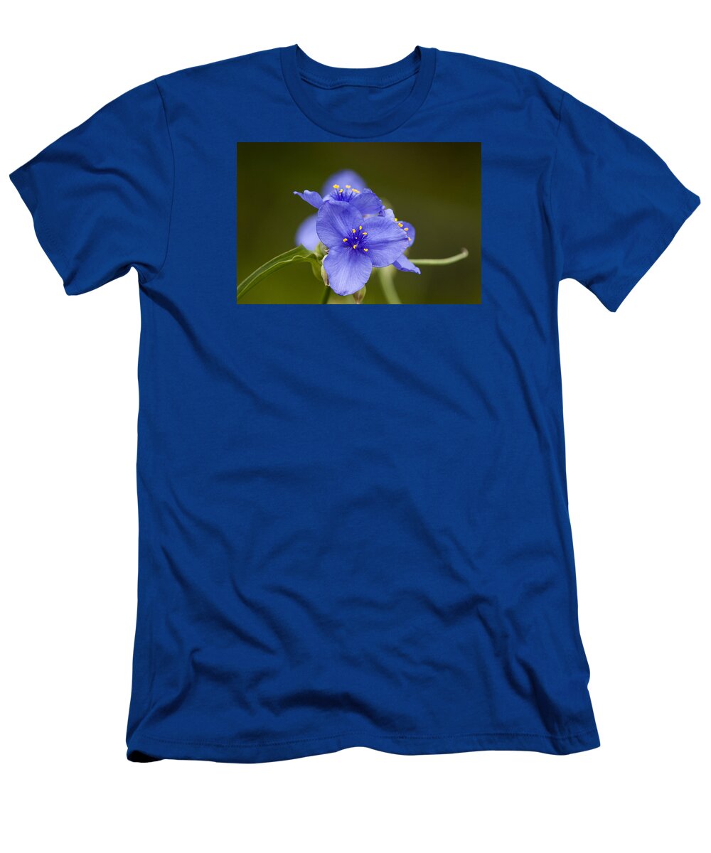 Flowers T-Shirt featuring the photograph Spiderwort by Robert Potts