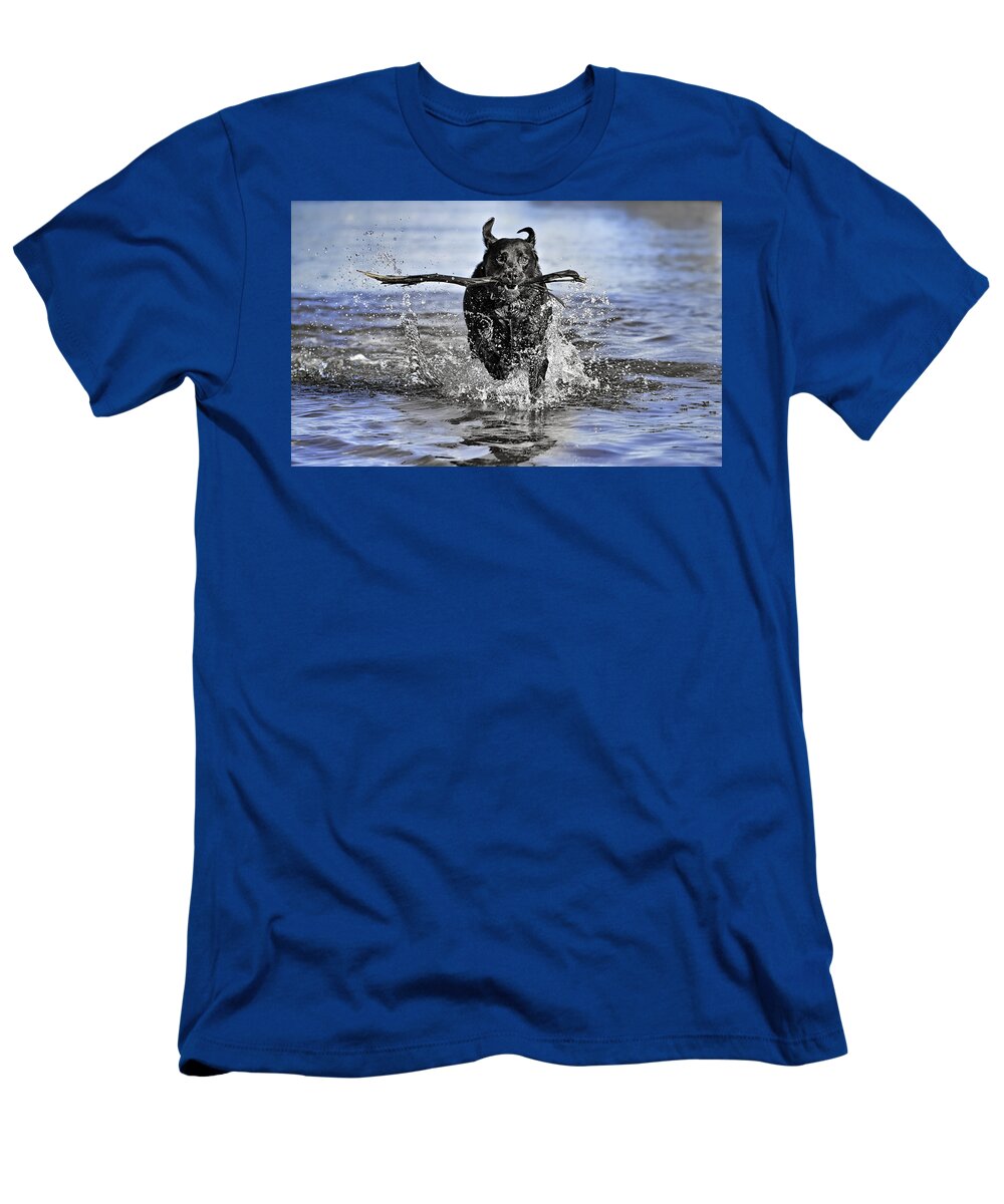 Dog T-Shirt featuring the photograph Splashing Fun by Chris Cousins