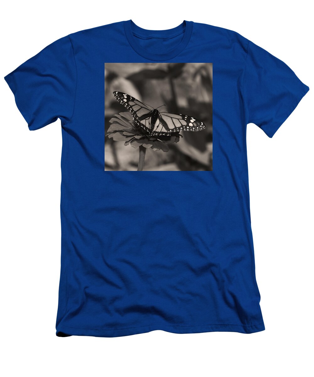 Butterfly T-Shirt featuring the photograph Spread Your Wings by Don Spenner