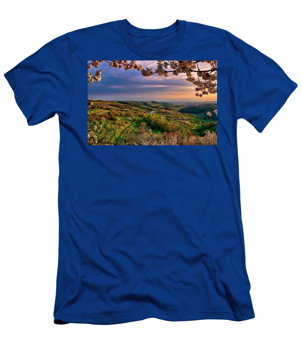 Spring T-Shirt featuring the photograph Spring by Jackie Russo