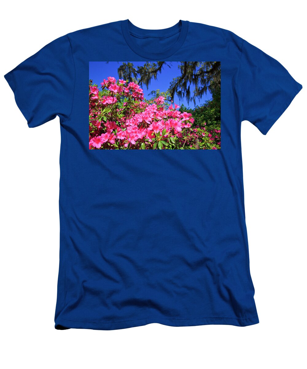 Pink T-Shirt featuring the photograph Springtime Azaleas by Jill Lang