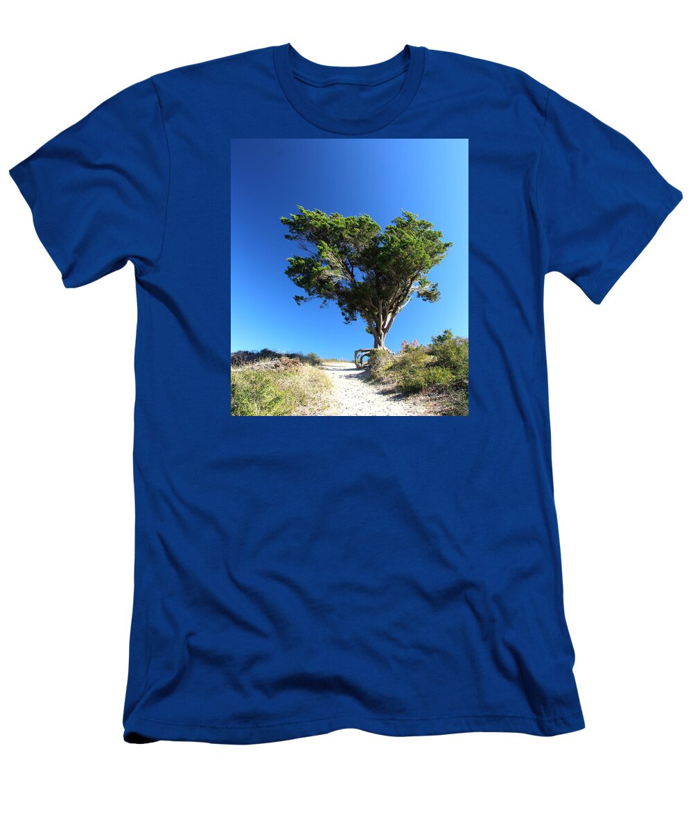 Federal Point T-Shirt featuring the photograph Standing on a hill by Rand Wall
