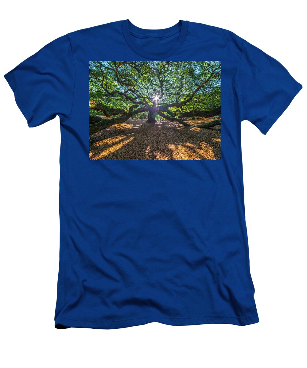 Angel Oak T-Shirt featuring the photograph Star Struck by Bryan Xavier