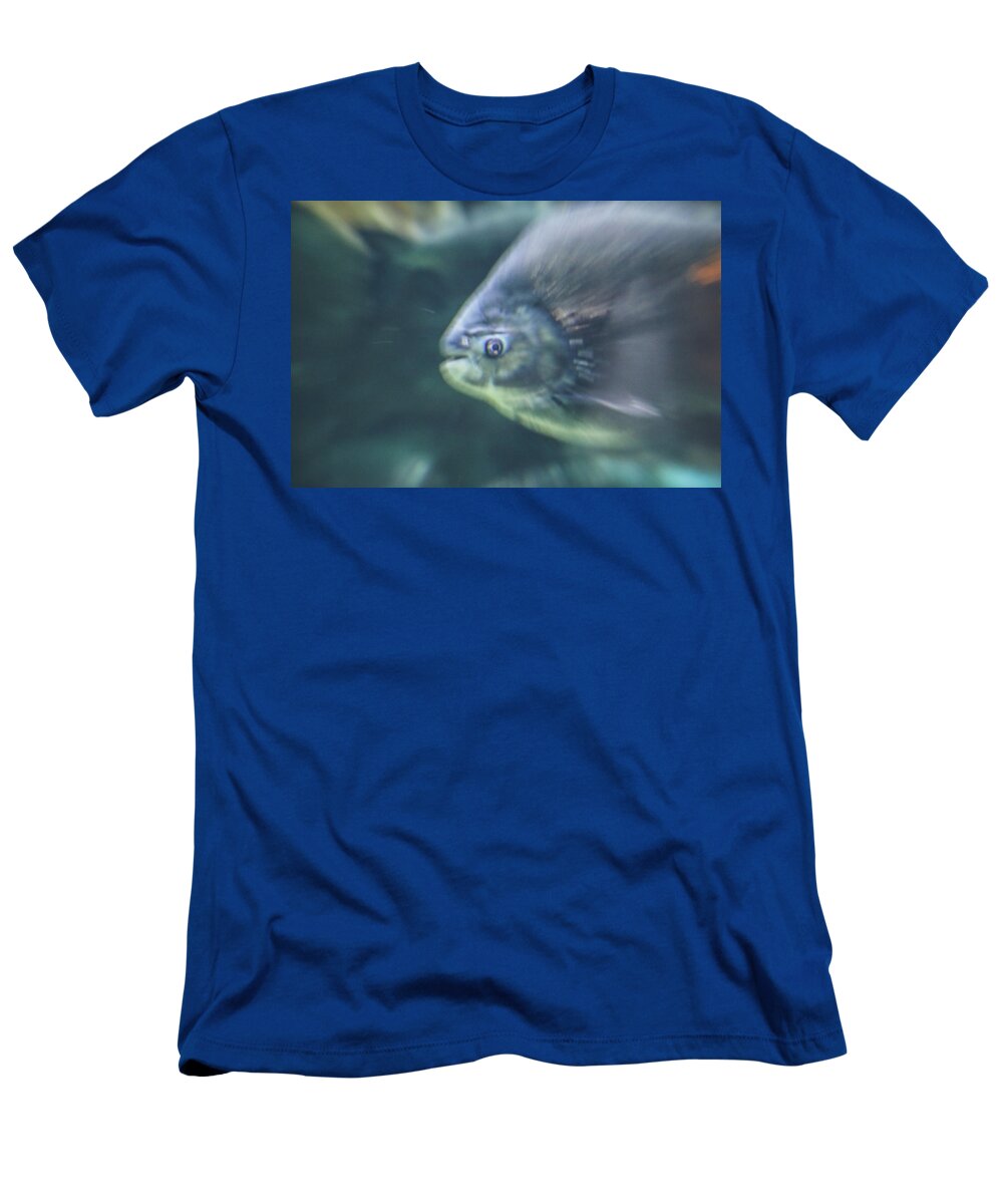 Fish T-Shirt featuring the photograph Starring by Hyuntae Kim