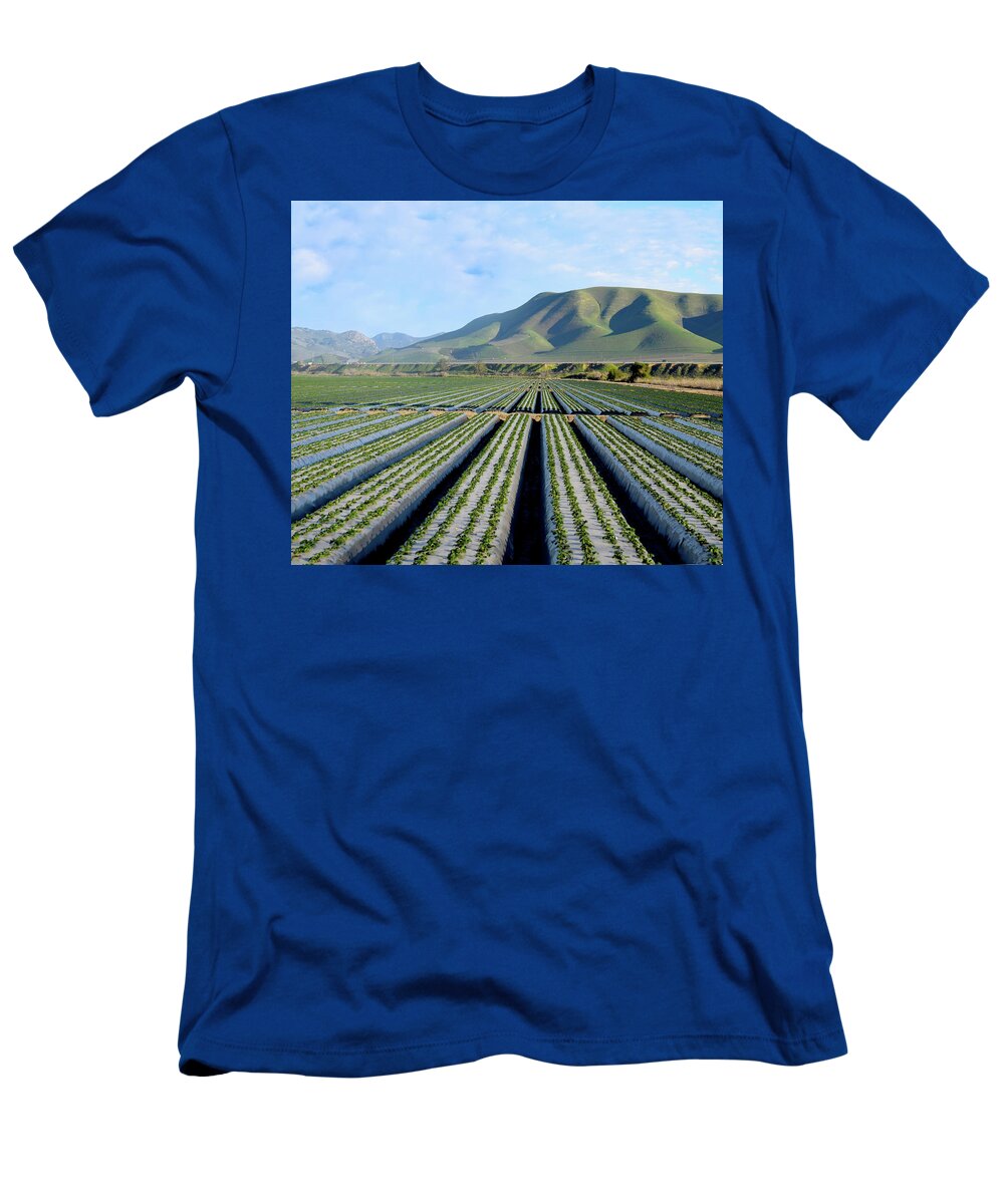 Farming T-Shirt featuring the photograph Strawberry Fields Forever by Floyd Snyder