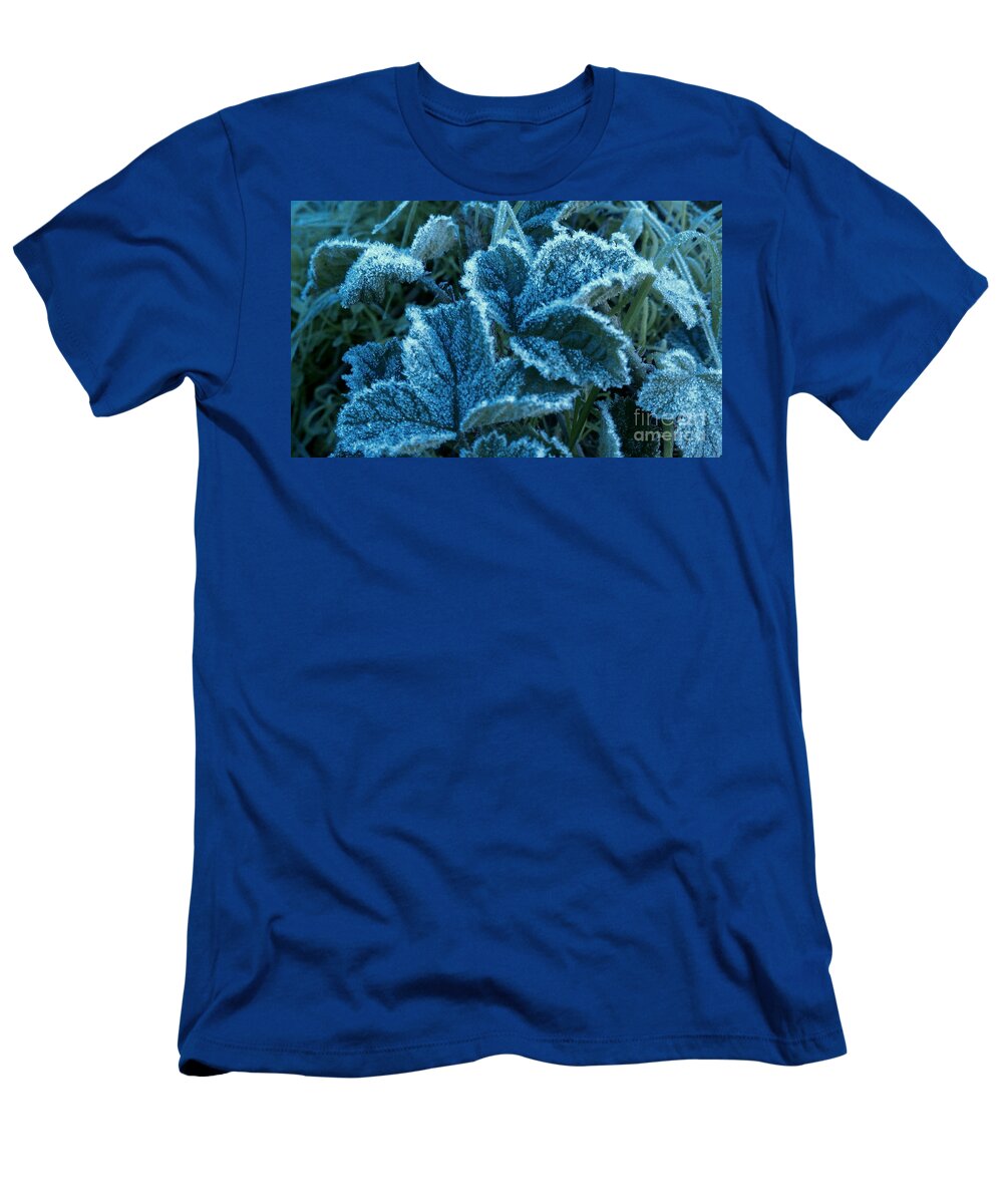 Ivy T-Shirt featuring the photograph Sugar Ivy by Garnett Jaeger