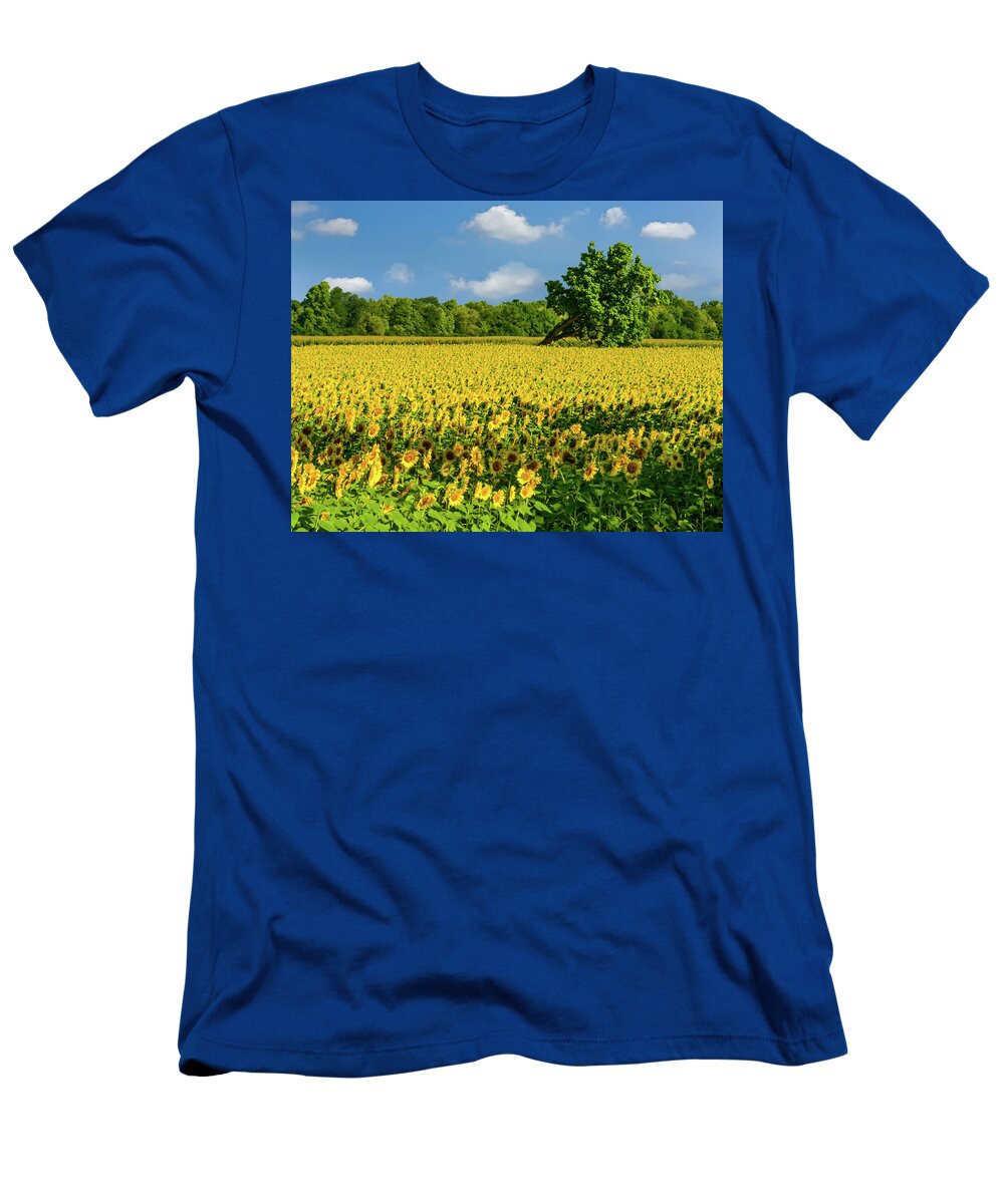 Sunflower T-Shirt featuring the photograph Sunflower Field by Roberta Kayne