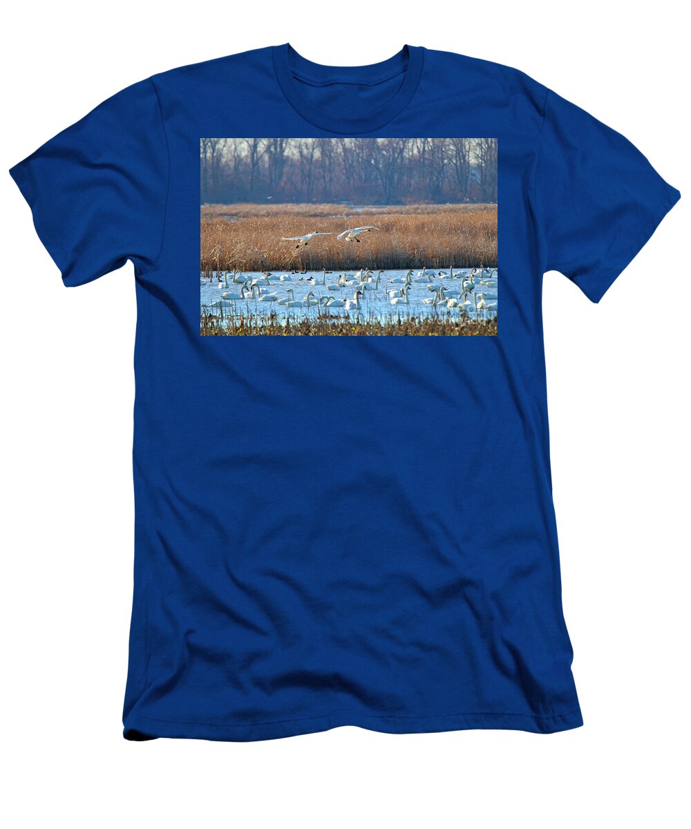 Jack Schultz Photography T-Shirt featuring the photograph Swans Landing 6811 by Jack Schultz