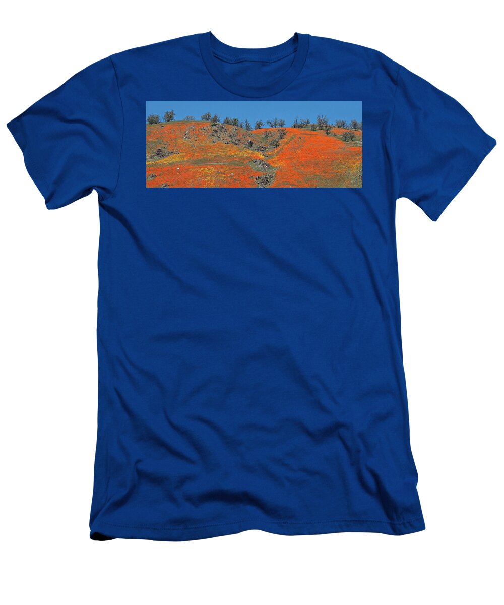 Spring T-Shirt featuring the photograph Tejon Pass Poppy Panorama by Lynn Bauer