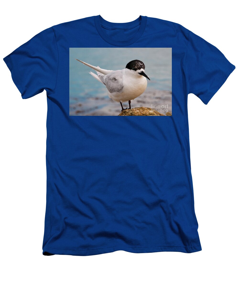 Bird T-Shirt featuring the photograph Tern 1 by Werner Padarin