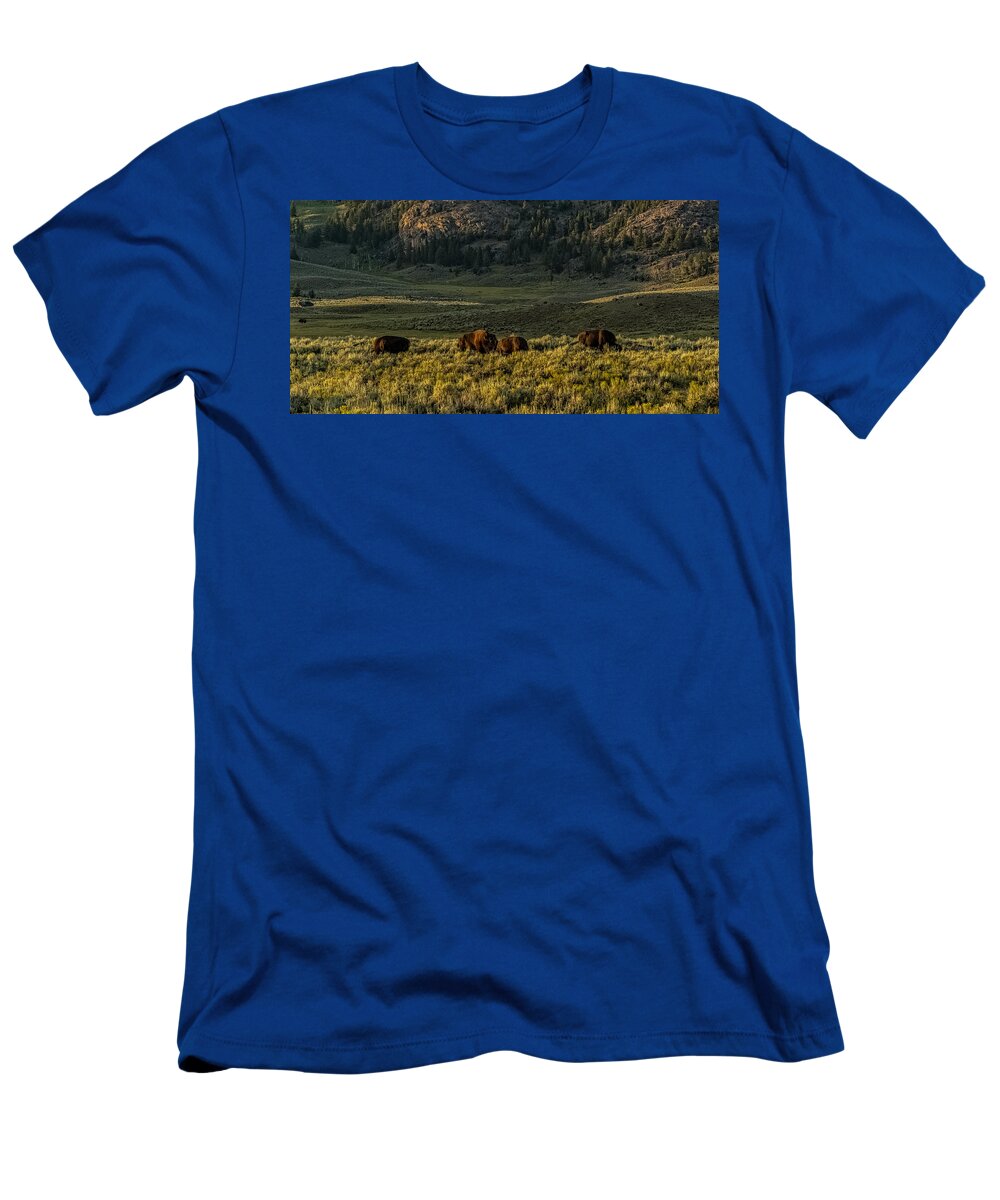 Bison T-Shirt featuring the photograph The Bison Rut In Yellowstone by Yeates Photography