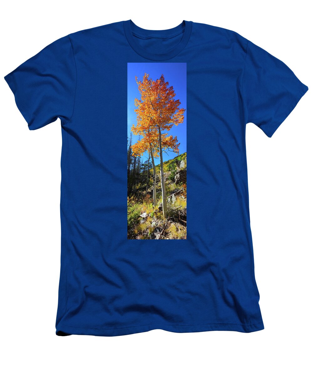 Aspen T-Shirt featuring the photograph The Hillside - Panorama by Shane Bechler