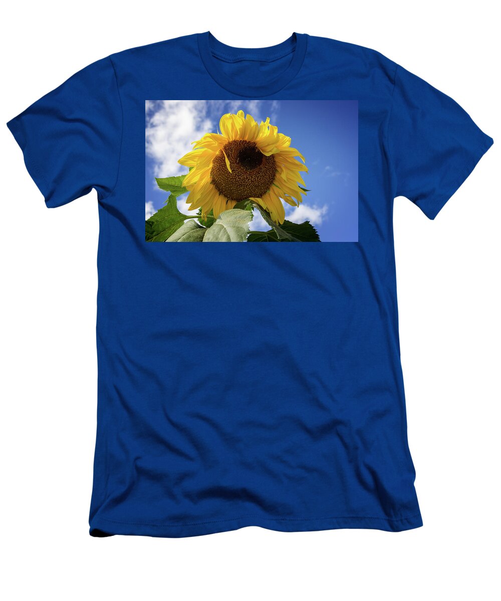 Sunflowers T-Shirt featuring the photograph The Last Sunflower by John Haldane