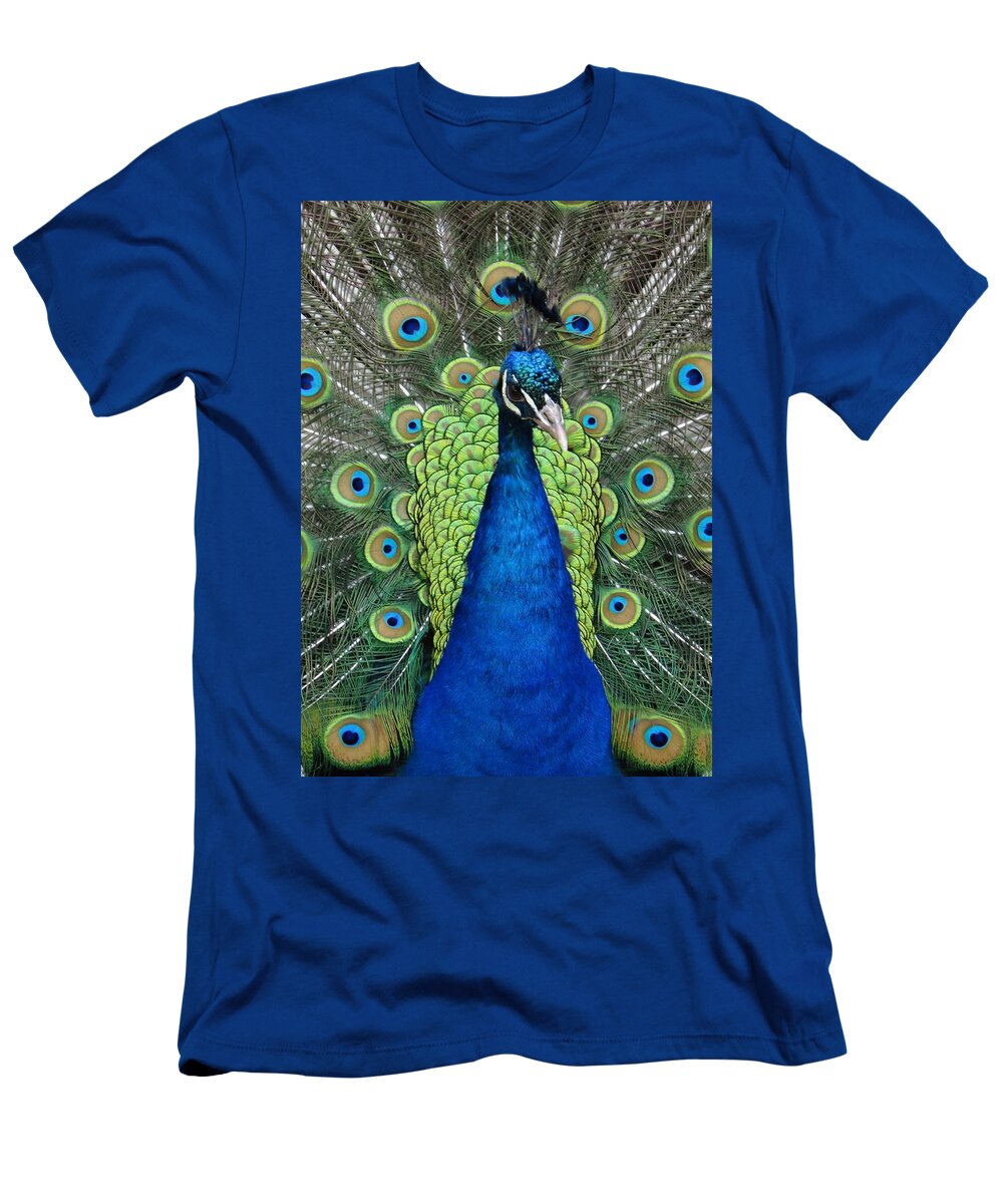 Peacock Plumage T-Shirt featuring the digital art The Maharaja of Point Defiance by I'ina Van Lawick