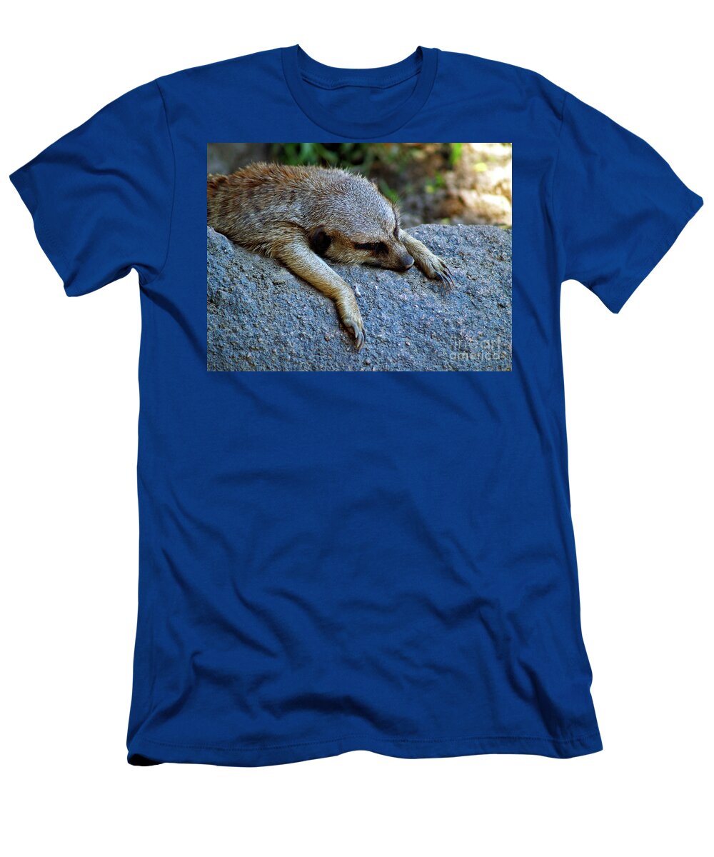 Animal Photography T-Shirt featuring the photograph The Morning After by Patricia Griffin Brett