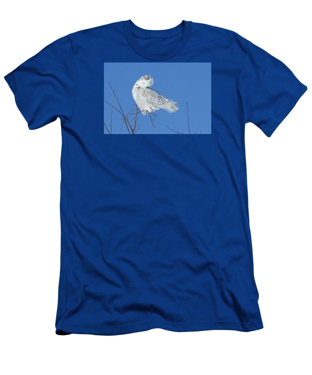 Snowy Owl T-Shirt featuring the photograph The preening snowy owl by Asbed Iskedjian