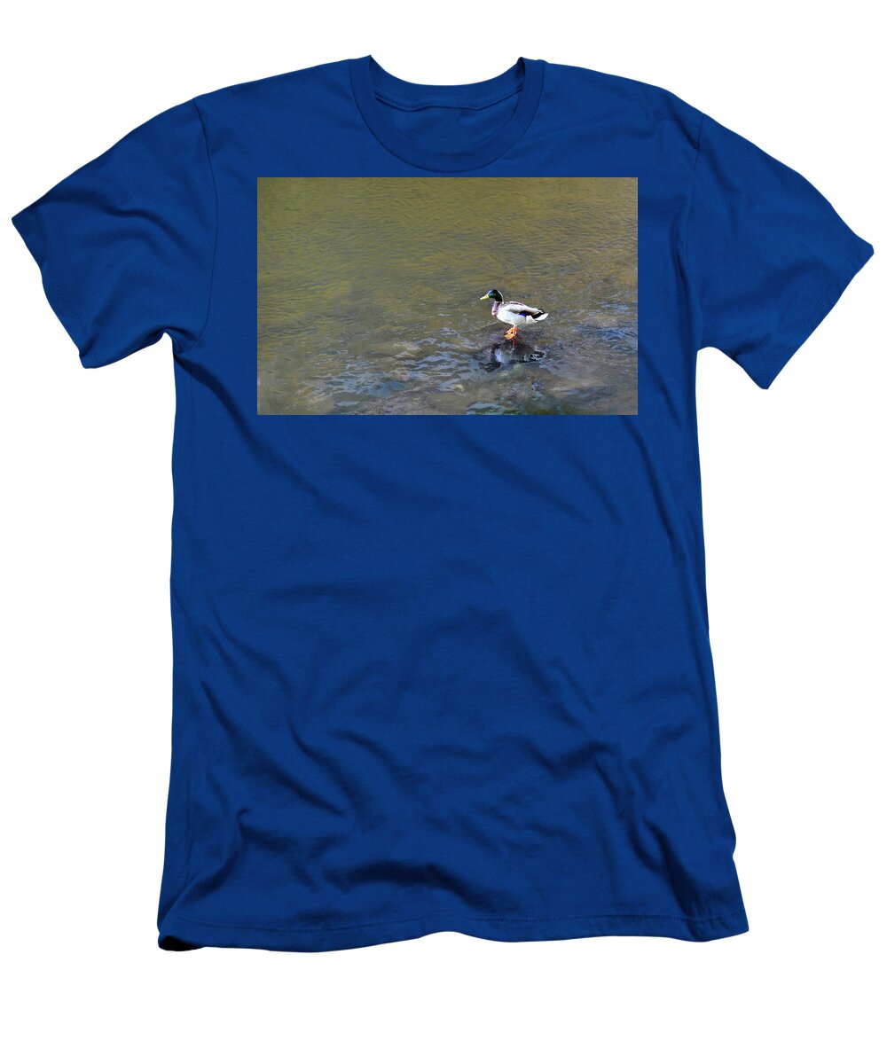 River T-Shirt featuring the photograph The Standing Duck by Jeffrey Platt