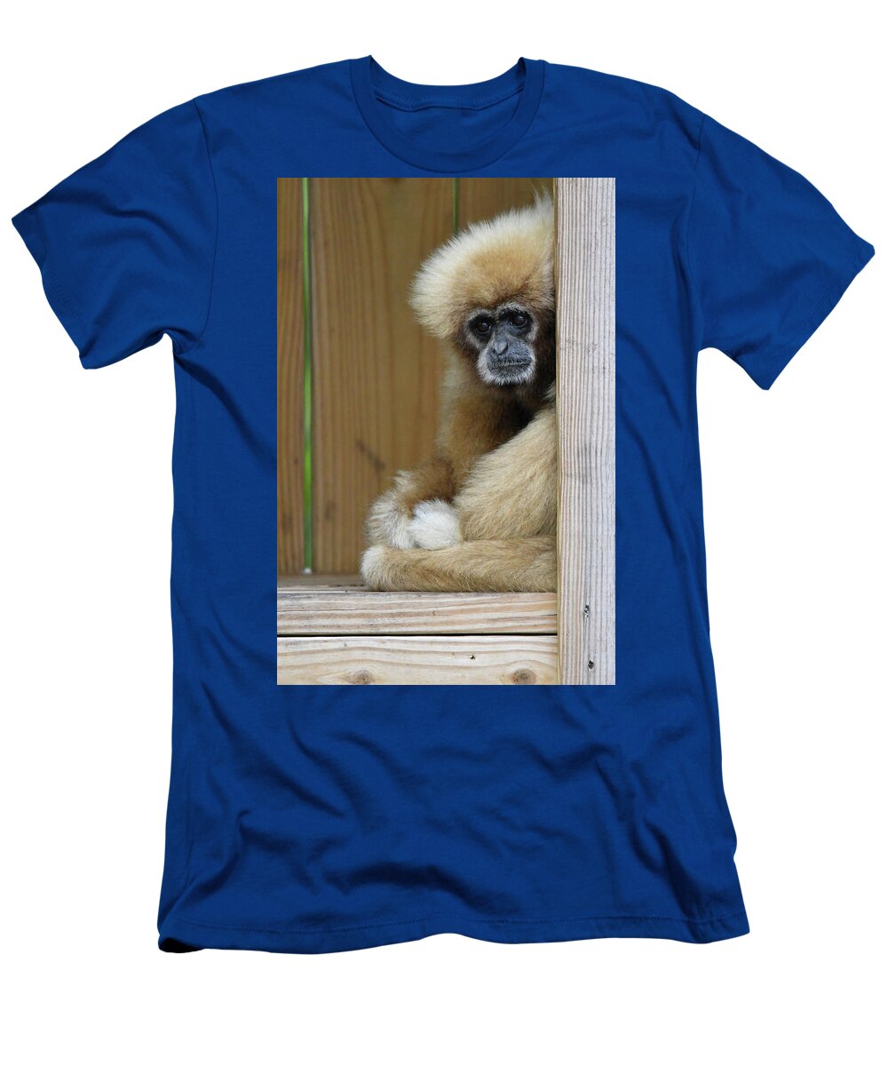 Monkey T-Shirt featuring the photograph Thoughtful by Artful Imagery
