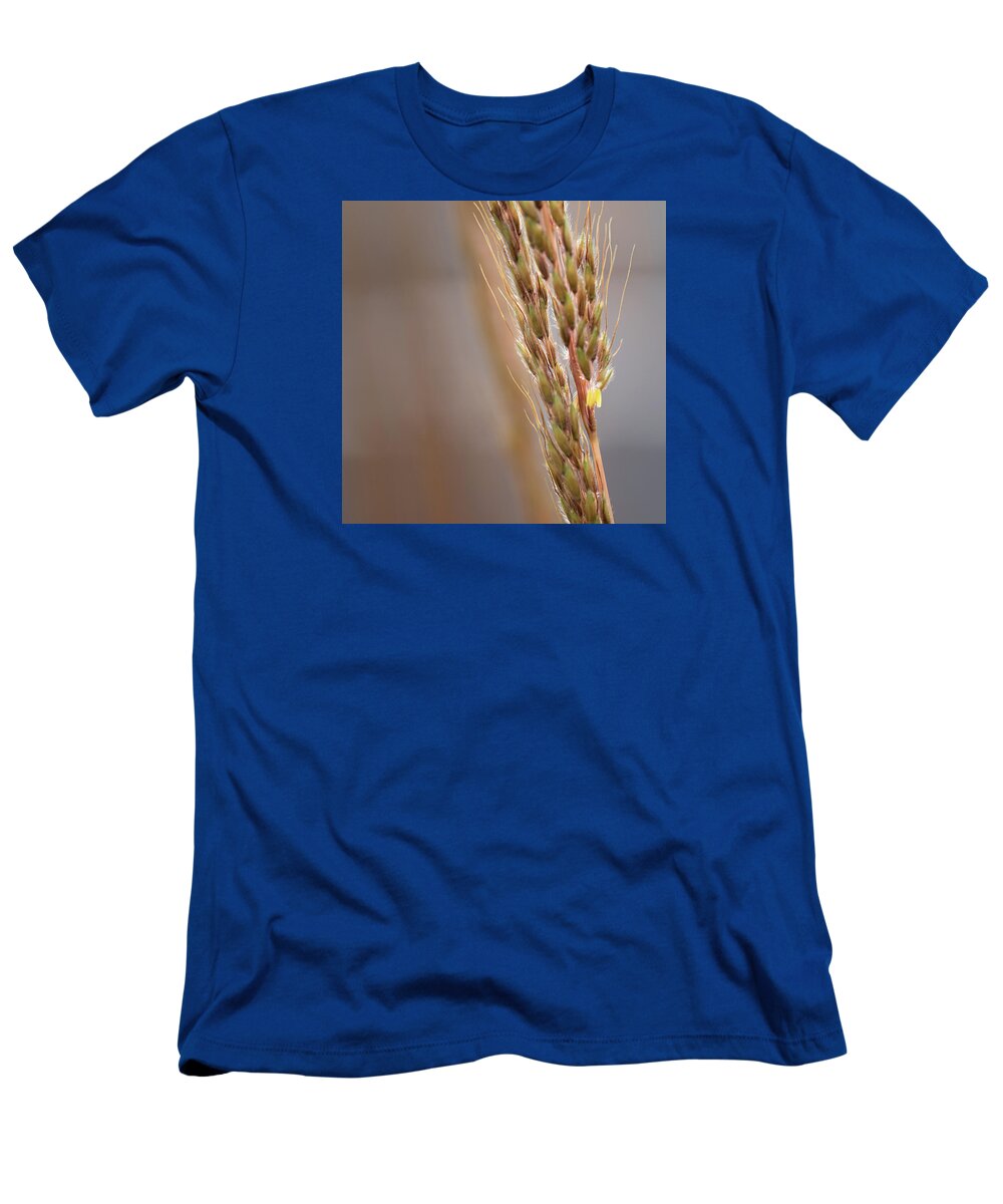 Grass Macro T-Shirt featuring the photograph Tiny Droplet - by Julie Weber