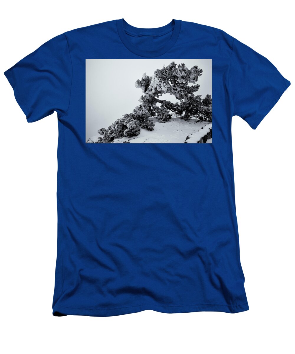 Albuquerque T-Shirt featuring the photograph Tortured Juniper by Alan Vance Ley