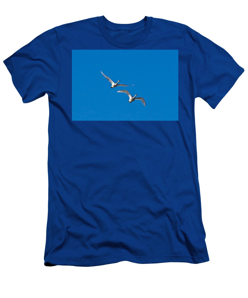 Swan T-Shirt featuring the photograph Trumpeter Swans 1735 by Michael Peychich