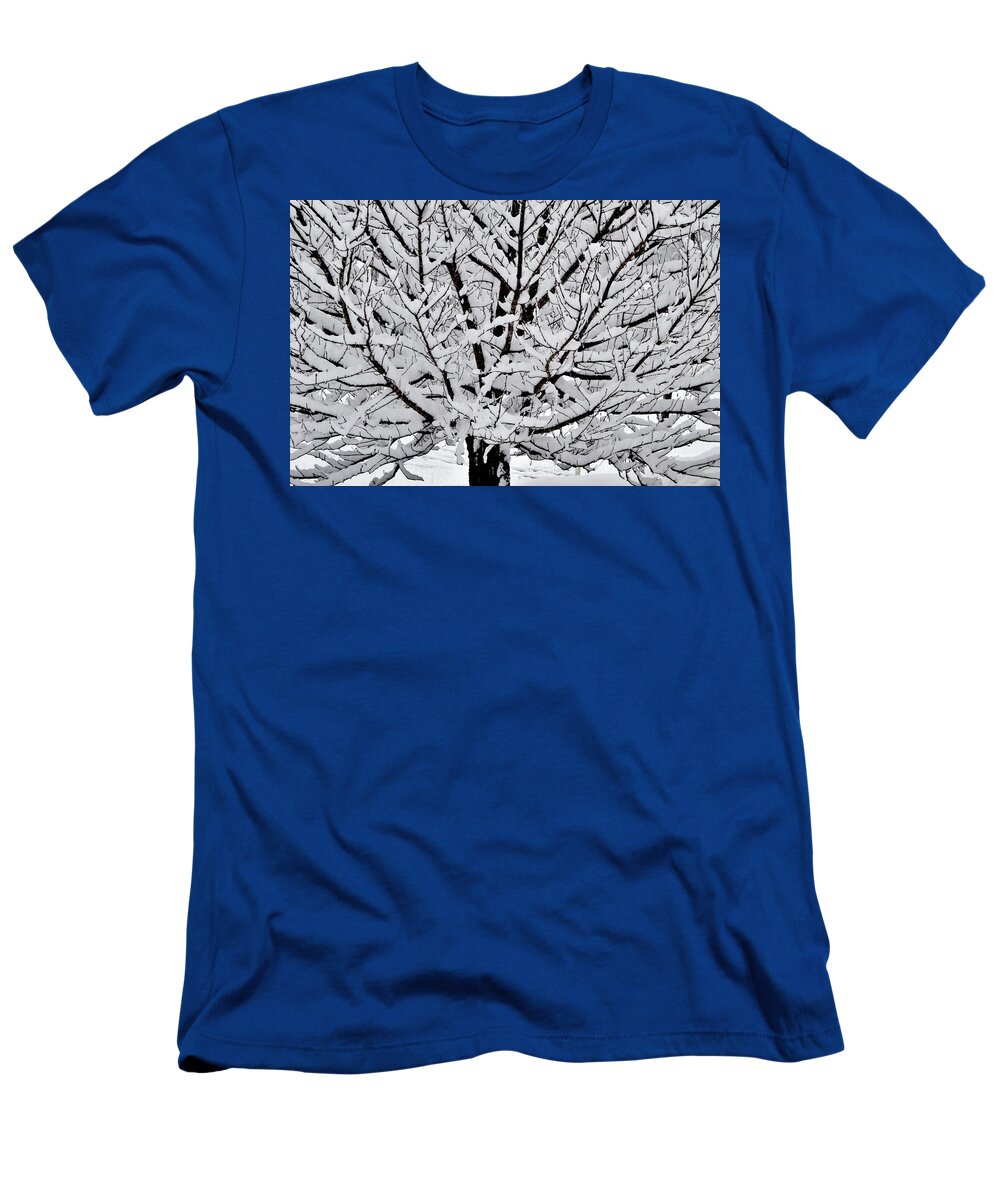 Tree T-Shirt featuring the photograph Unbelievable Tree by Eileen Brymer