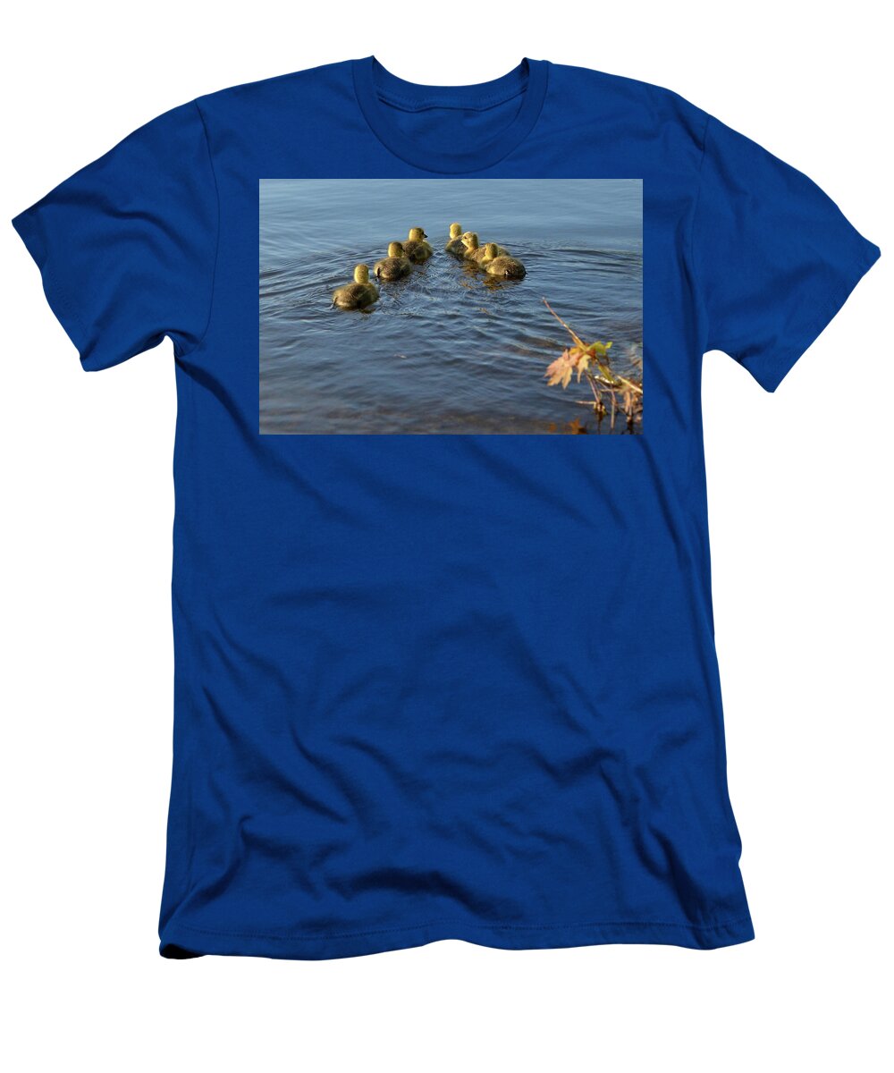 Canada Goose T-Shirt featuring the photograph Goslings V formation swimming by Asbed Iskedjian