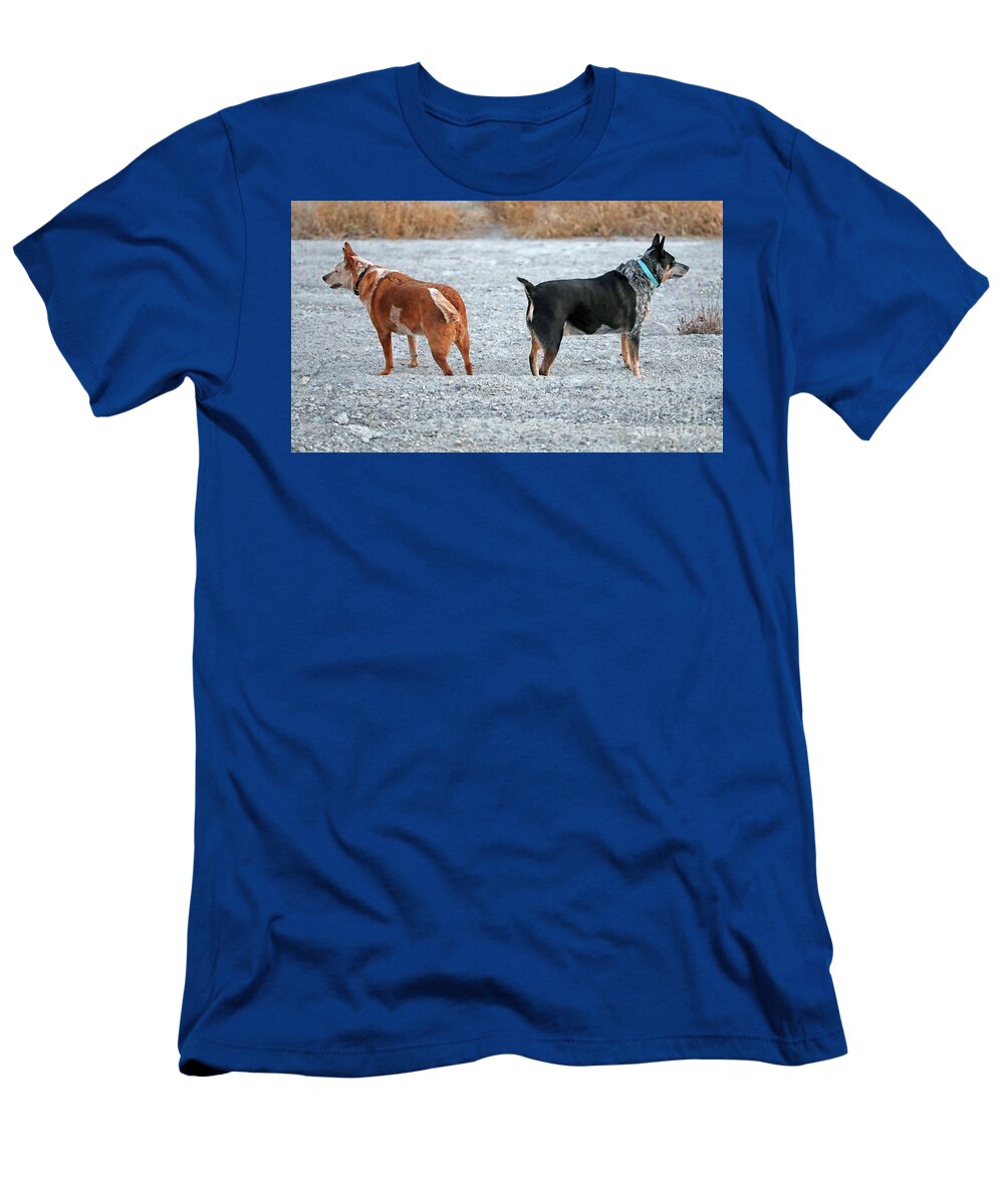 Blue Heeler T-Shirt featuring the photograph Which way...this way...no this way by Elizabeth Winter