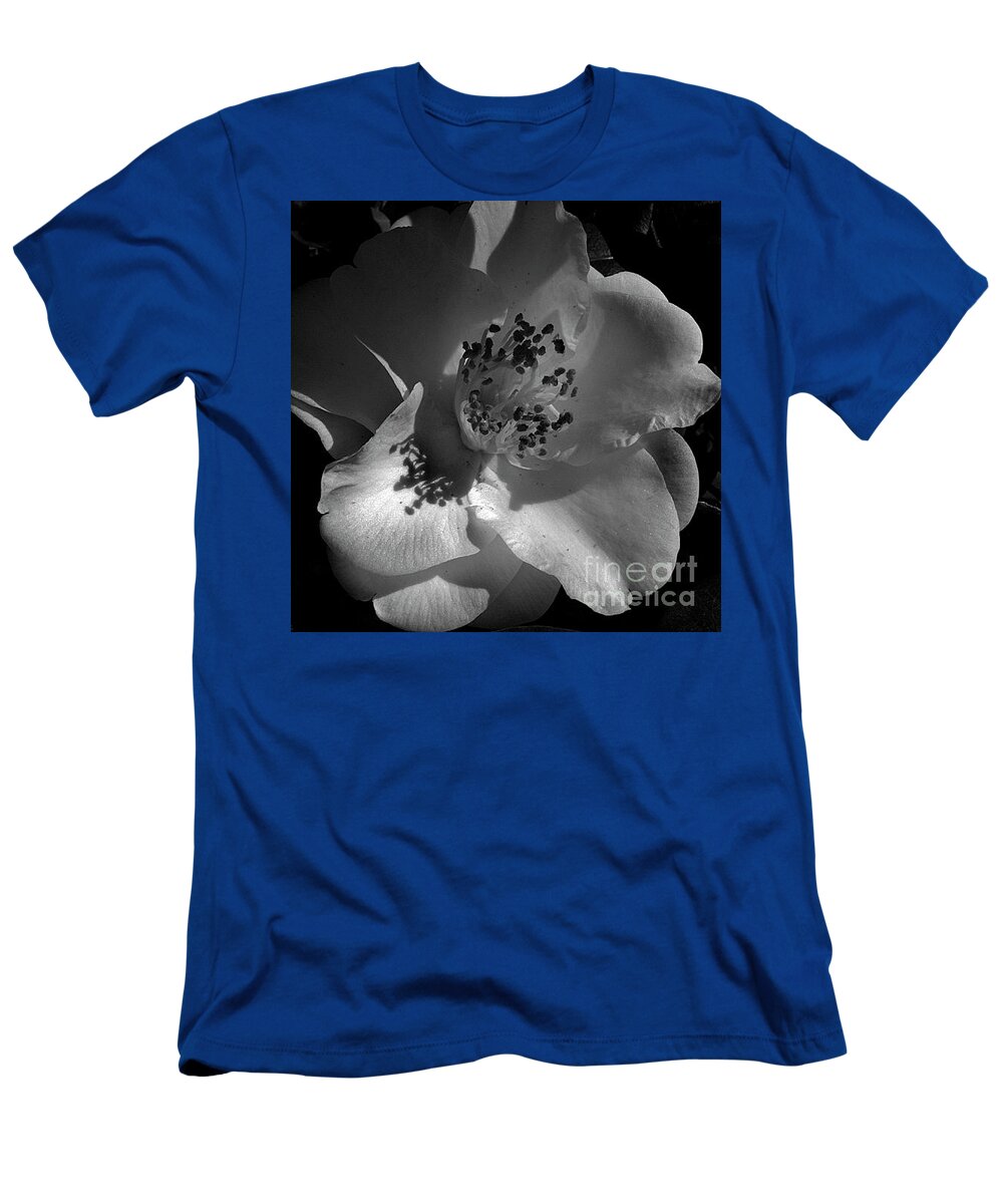 Pictures Of Flowers T-Shirt featuring the photograph White Camellia by Skip Willits