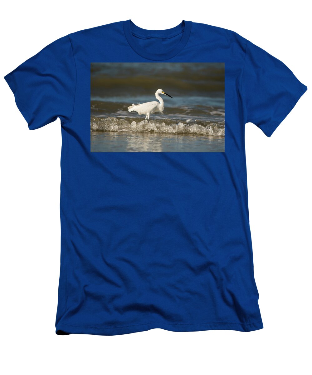 White T-Shirt featuring the photograph White Egret Wading on the Shoreline by Artful Imagery