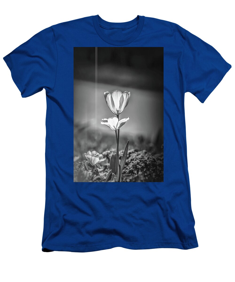 Black And White T-Shirt featuring the photograph White tulip May 2016 #1 bw by Leif Sohlman