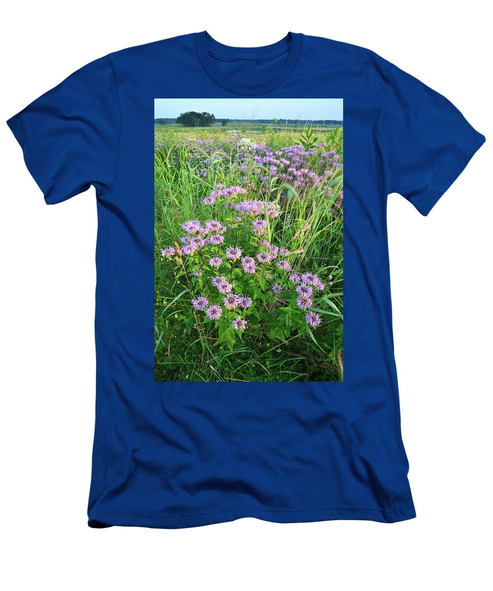 Black Eyed Susan T-Shirt featuring the photograph Wildflower Bouquet in Glacial Park by Ray Mathis