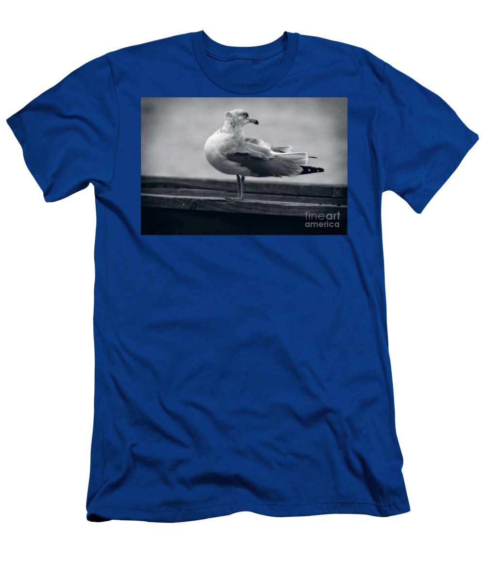 Birds T-Shirt featuring the photograph Windy Day Seagull by Ella Kaye Dickey