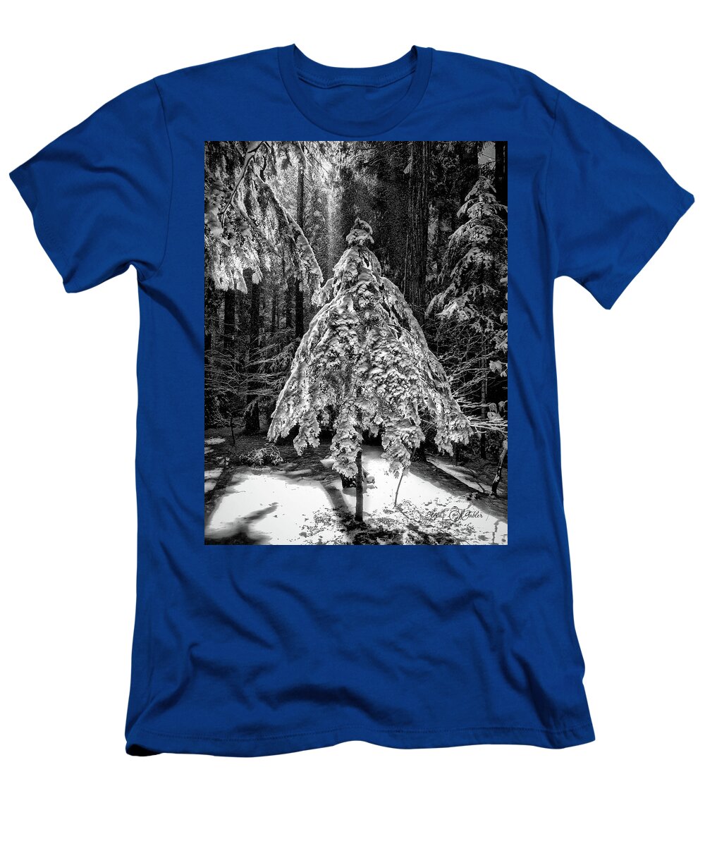 Winter T-Shirt featuring the photograph Winter Morning by Steph Gabler
