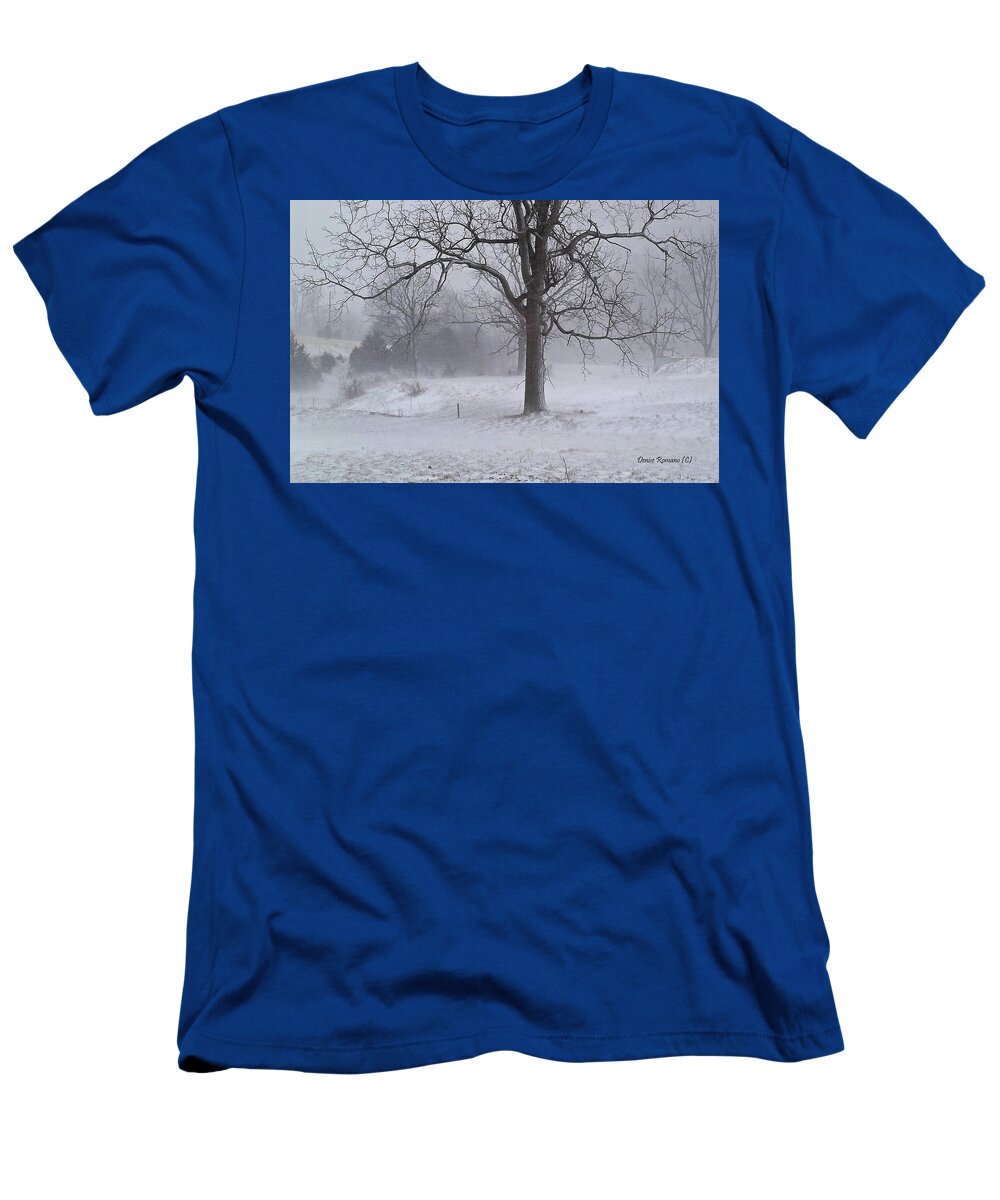 Walnut T-Shirt featuring the photograph Winter Walnut by Denise Romano