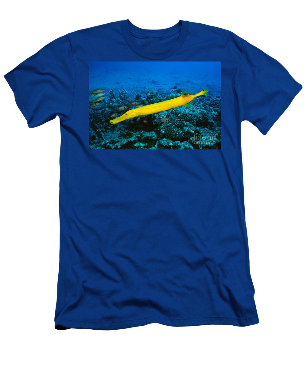 Aqua T-Shirt featuring the photograph Yello Trumpetfish by Dave Fleetham - Printscapes