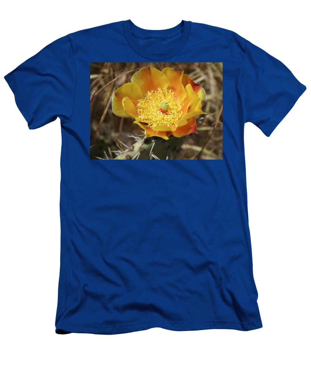 Cactus Flower T-Shirt featuring the photograph Yellow Cactus Flower On Display by Ben and Raisa Gertsberg